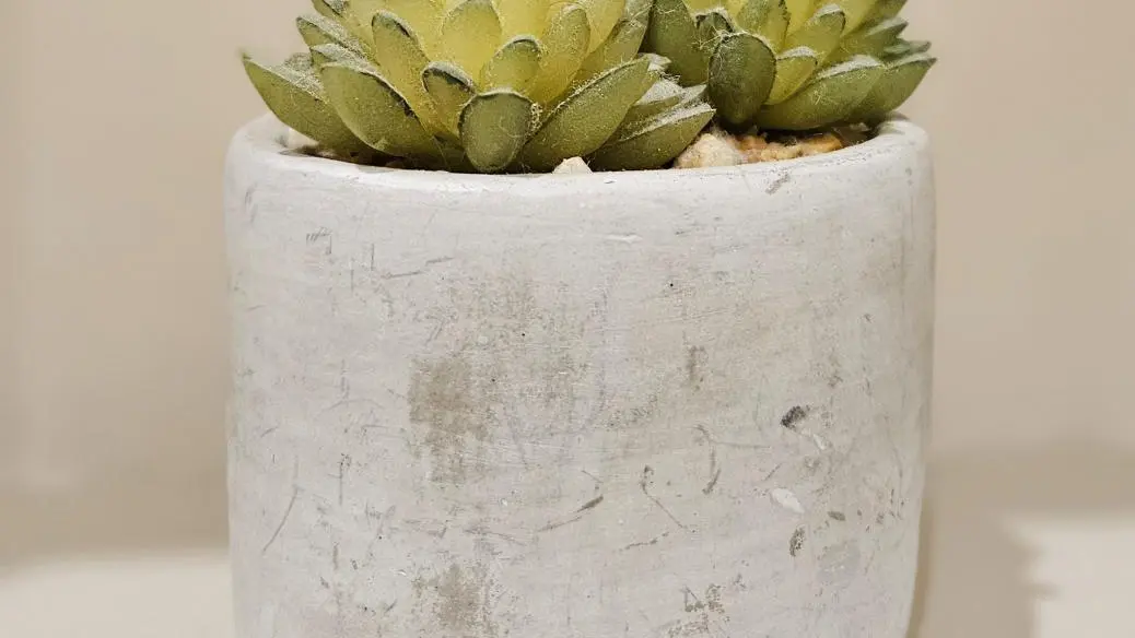 Le Chant des Oiseaux_32