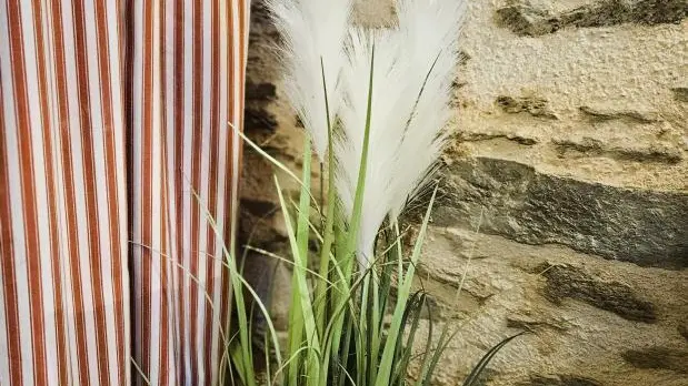 Le Chant des Oiseaux_13