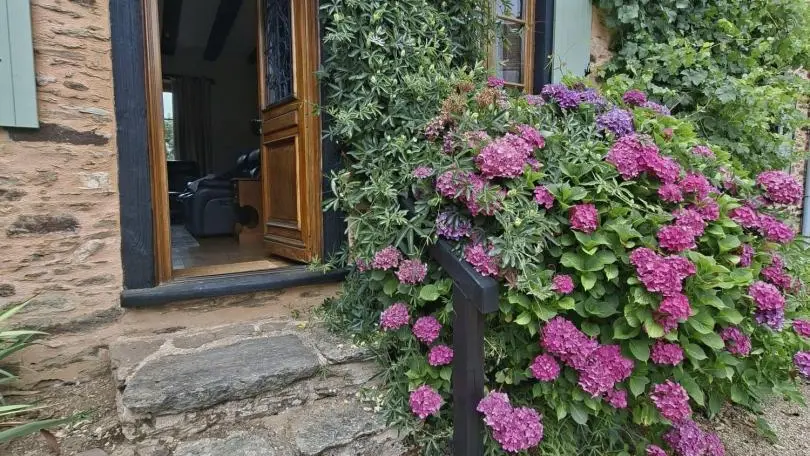 Le Chant des Oiseaux_38