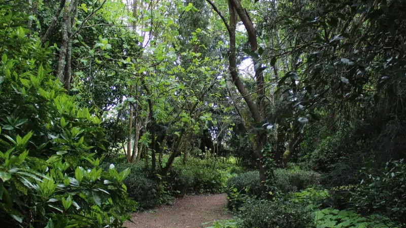 SIRTAQUI - 2