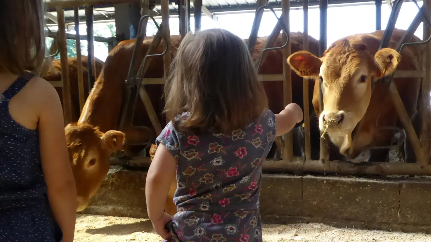 BESSINES Ferme Lavaud Pacaud