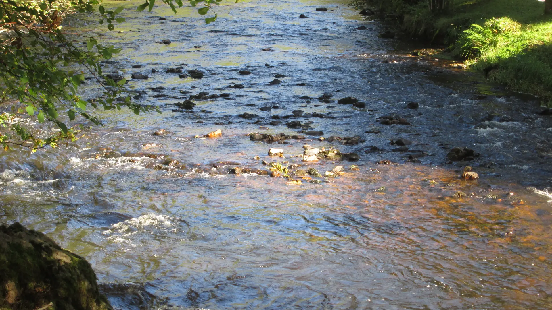 2_Chavanon_V.MENDRAS