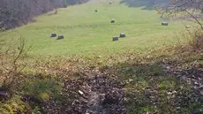 2014-03-11_11-17-16A