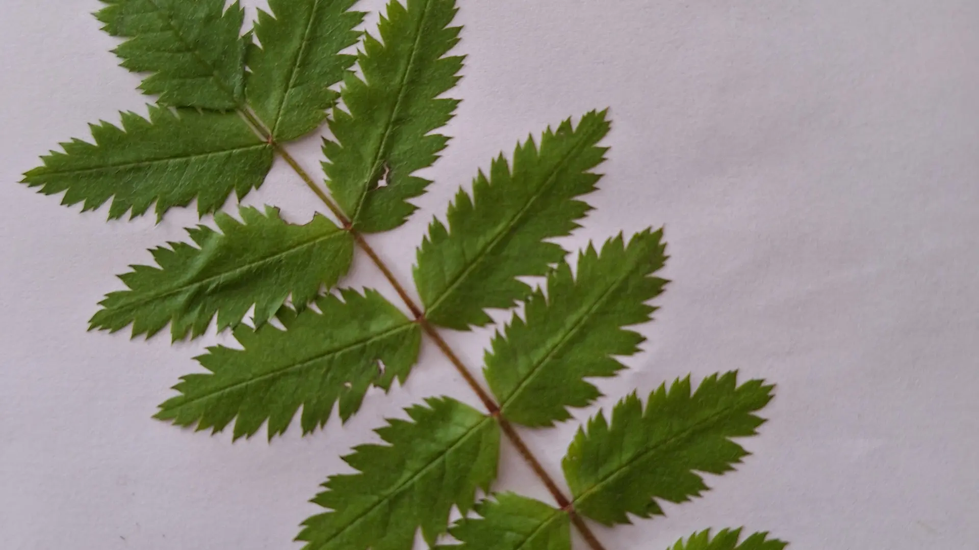 2024-04-26T11_25_50+02_00