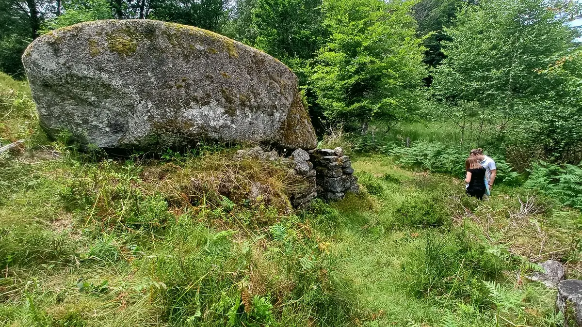 Tourbière Loge
