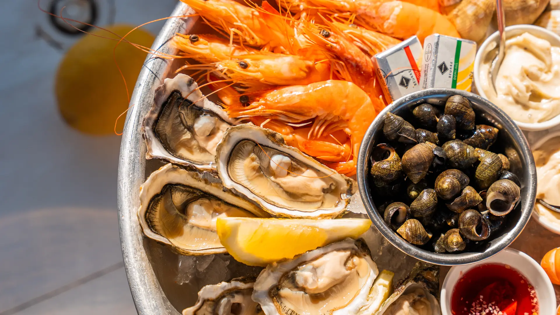 2026_maison_marco_mag