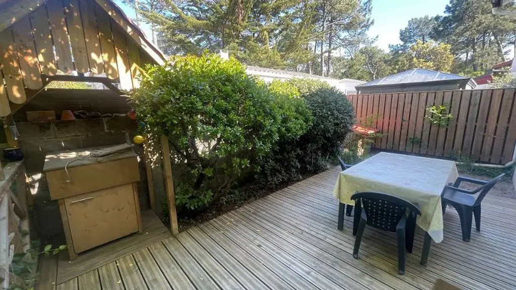 2026_belmont2 (Copier)