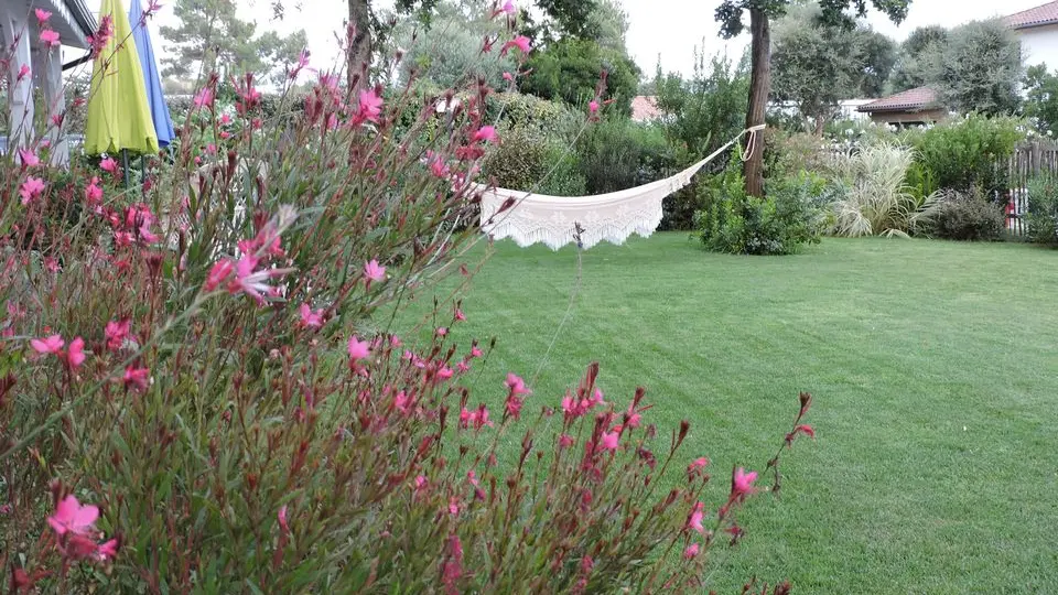 2026_castaing (7) (Copier)