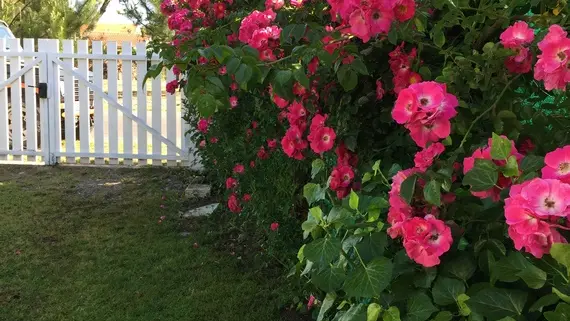 2026_larriau4 (Copier)