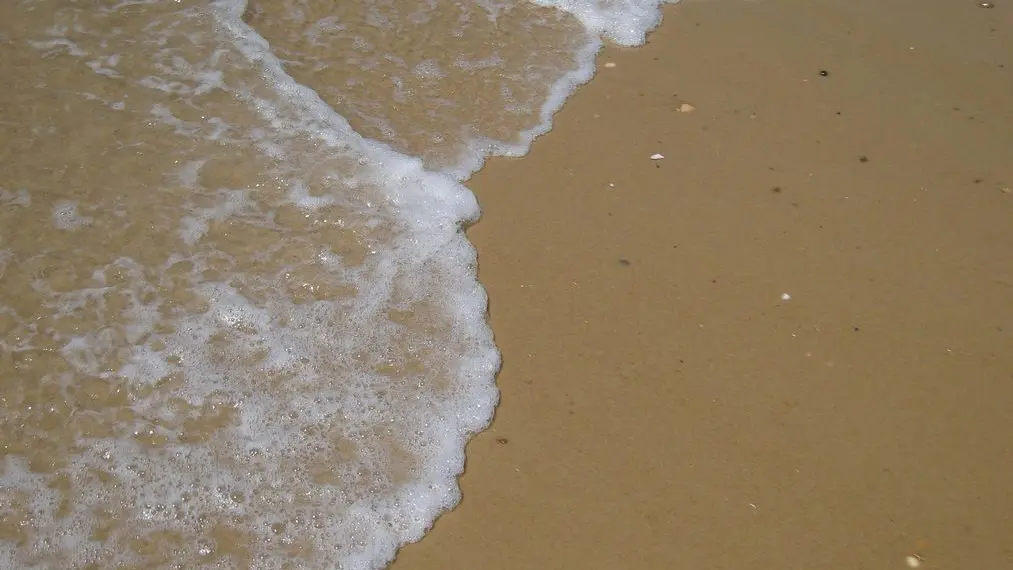 2026_larriau9 (Copier)