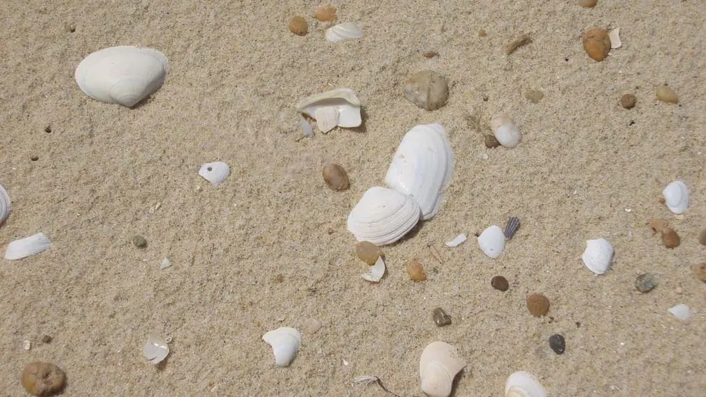 2026_larriau3 (Copier)