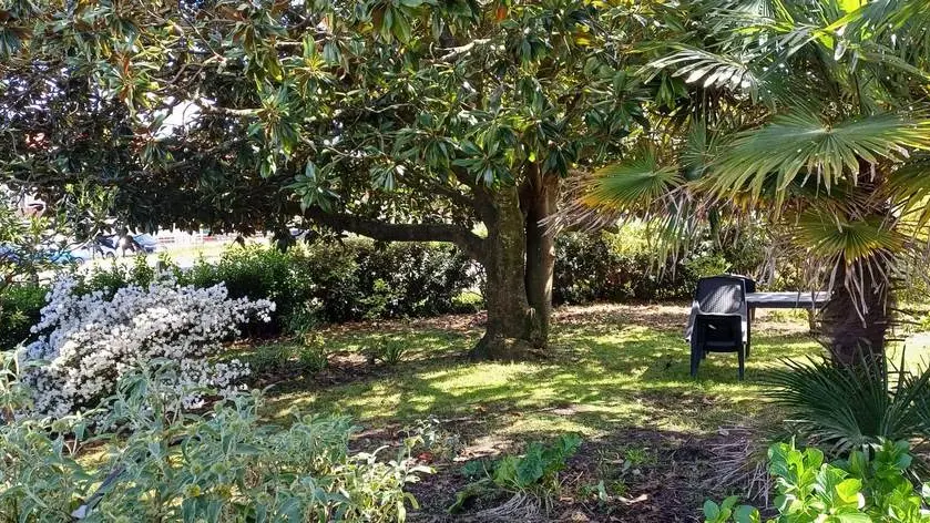 2026_sci_lgptfilles_lombange_pauleau_gasconha (9)