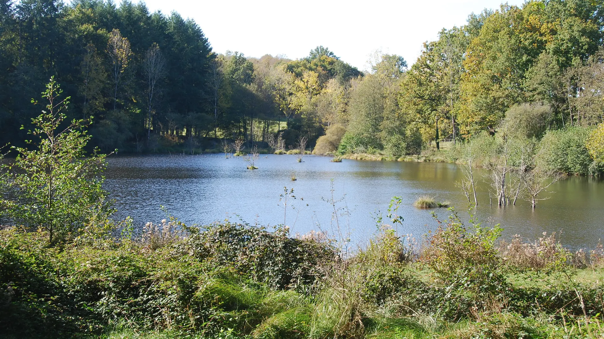 Meublé de tourisme Bel' Ecaille_2