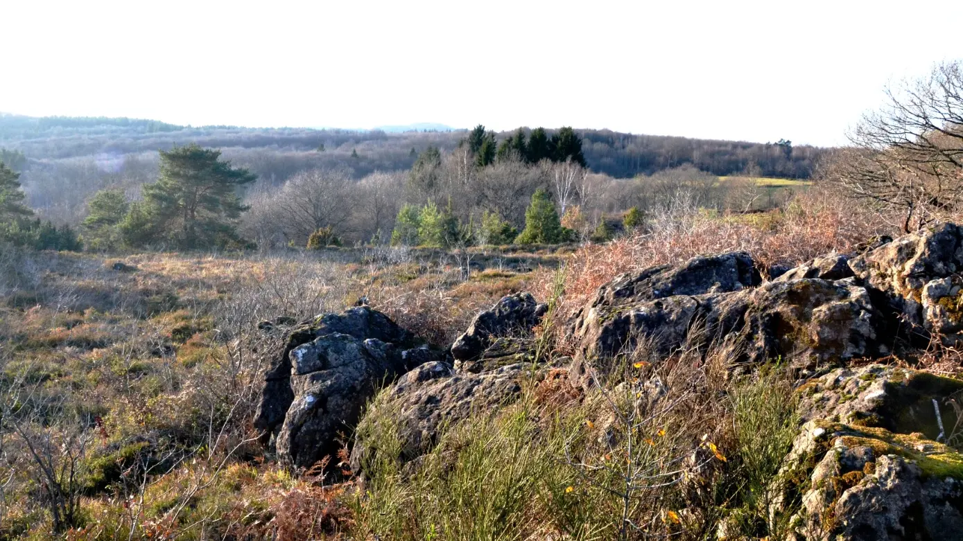 Boucle cyclotouristique Cluzeau-Fayat_2