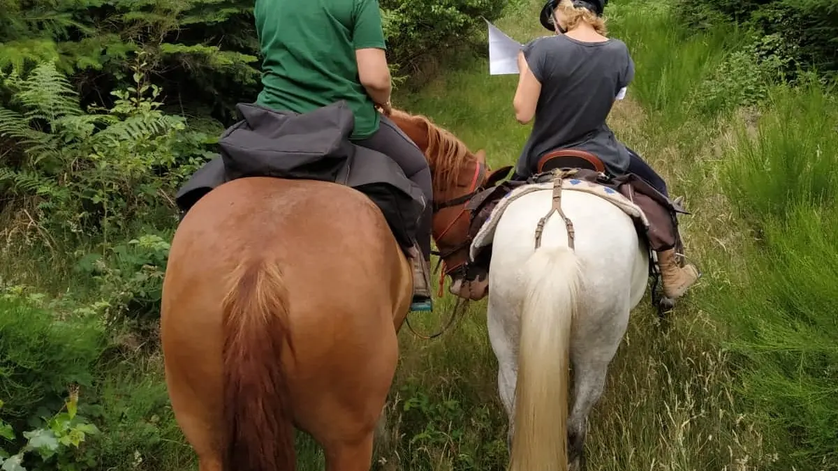 Centre équestre Les Chevaux de Tilcara à Château-Chervix_2
