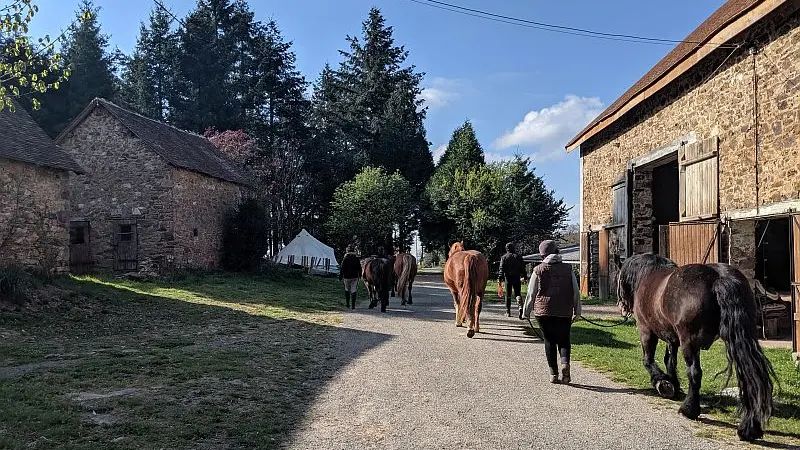 Centre équestre Les Chevaux de Tilcara à Château-Chervix_5