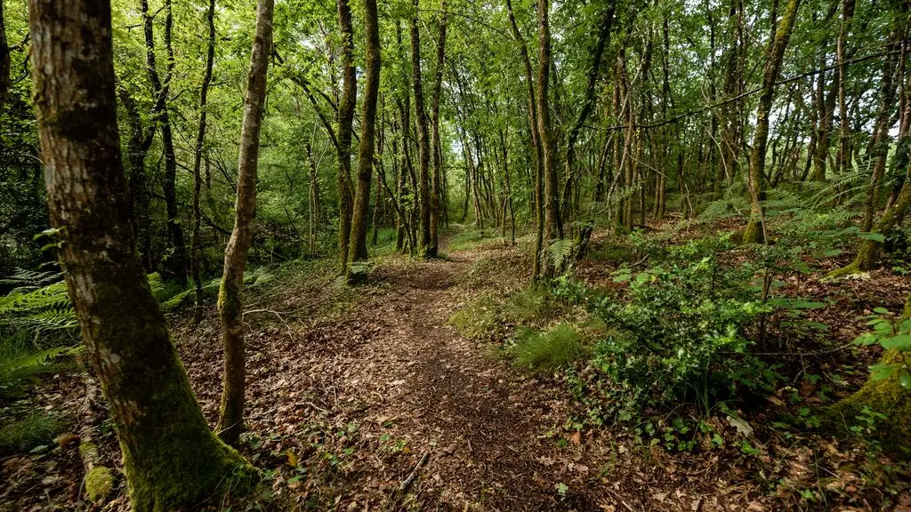 2021_sentier_Pontenx (Copier)
