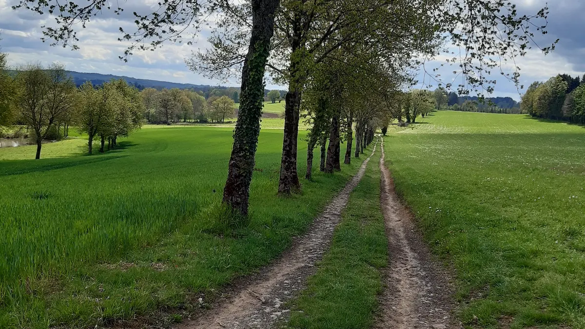 chemin