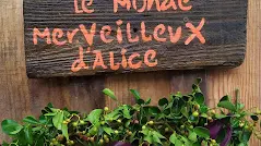 Le Monde Merveilleux d'Alice