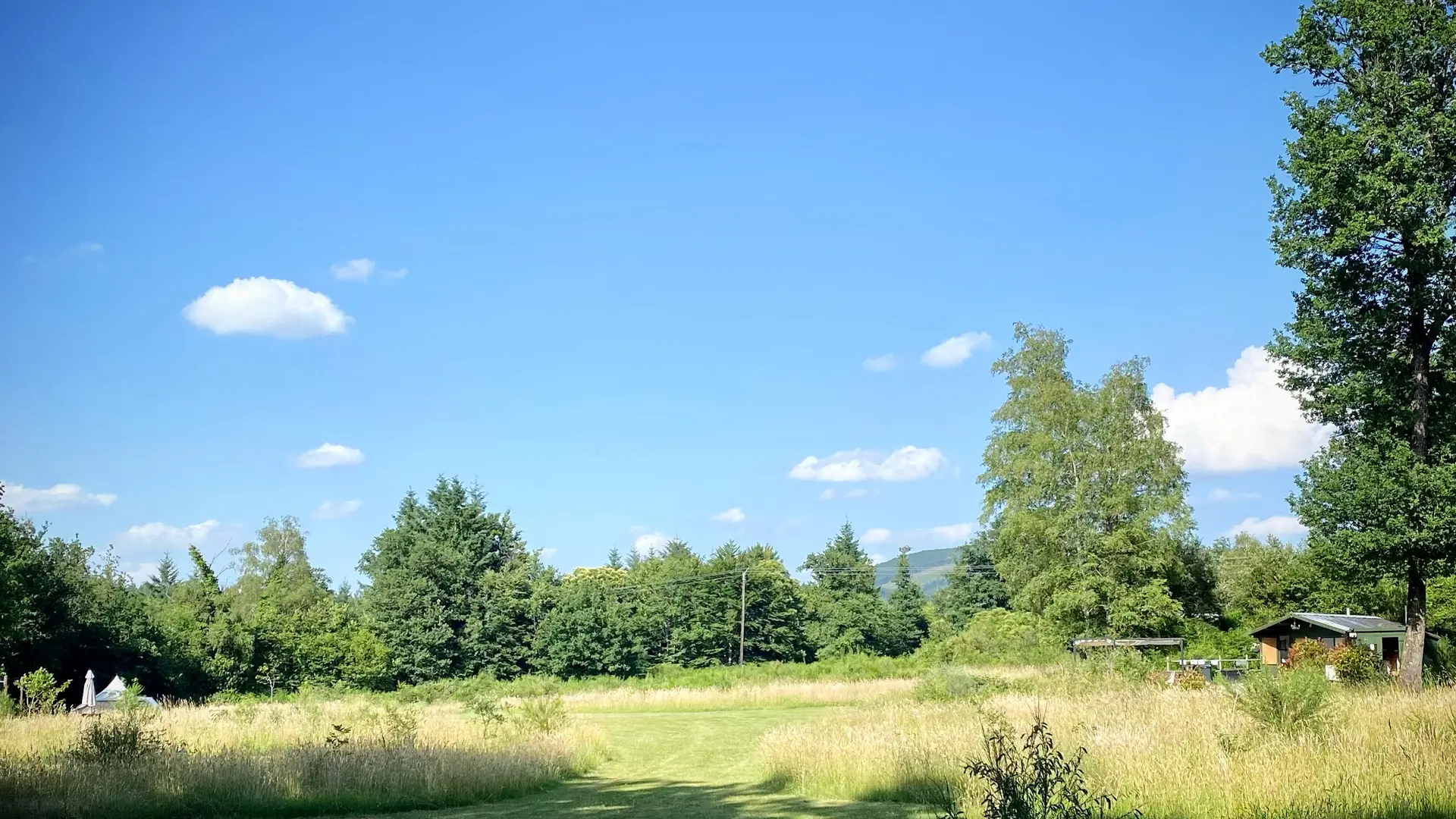 20220615_175455_79512A51-073E-4E14-B9F3-BD80D0779FA1(1)