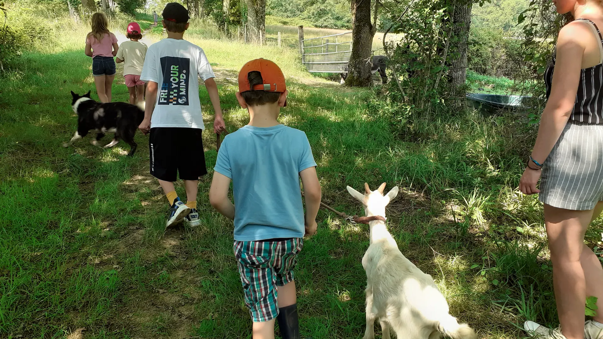 Les Sabots de Laine Chèvre