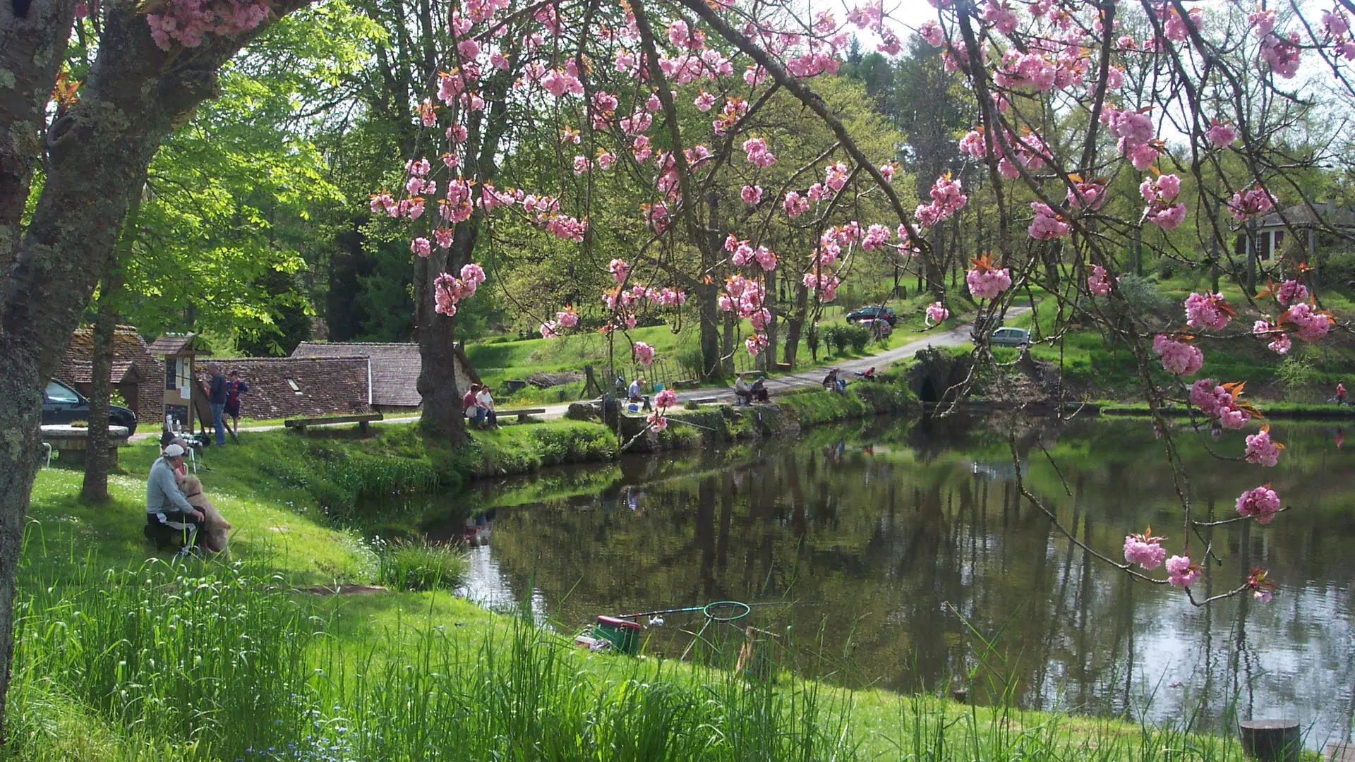 pisciculture du moulin authier coussac bonneval_1