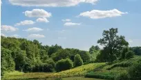 sentier de randonnée des aurières le chalard_2