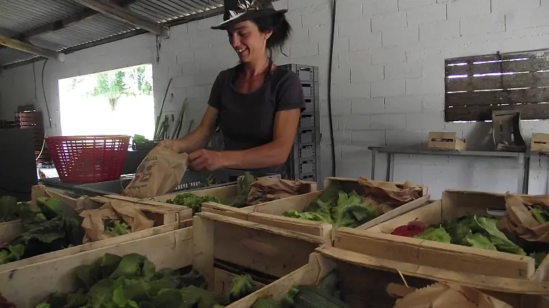 terre ferme coussac bonneval_1