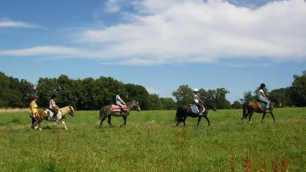 Centre équestre Cheval Pot'Agé