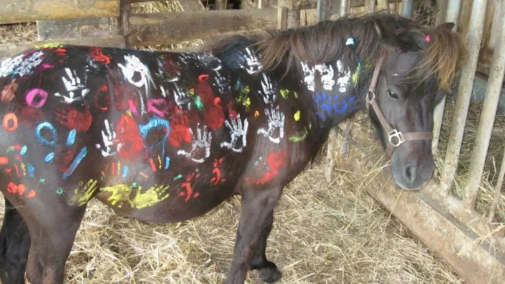 Caval'Orée