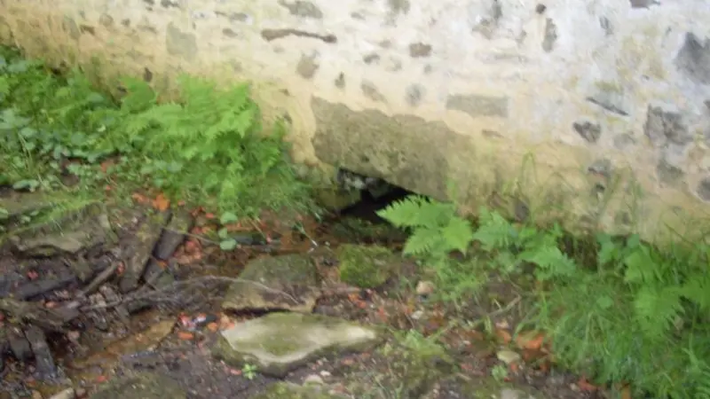 Bonne fontaine Saint Sulpice