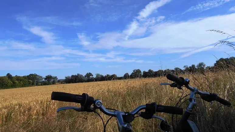 Vélo_3