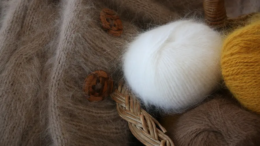 Laine angora_2