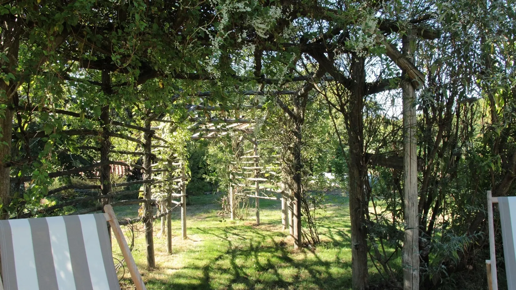 jardin_11