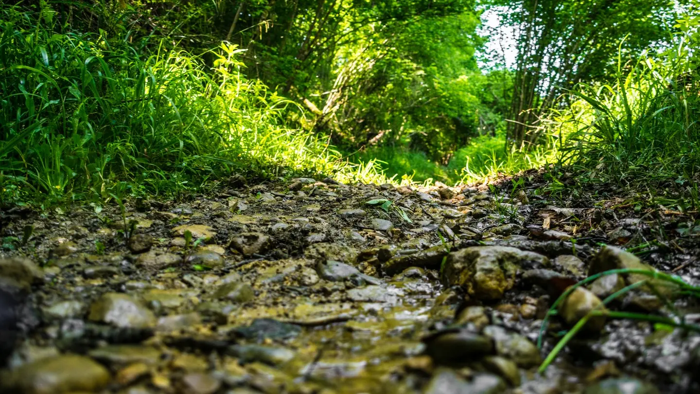 Laroin - Couday - Chemin
