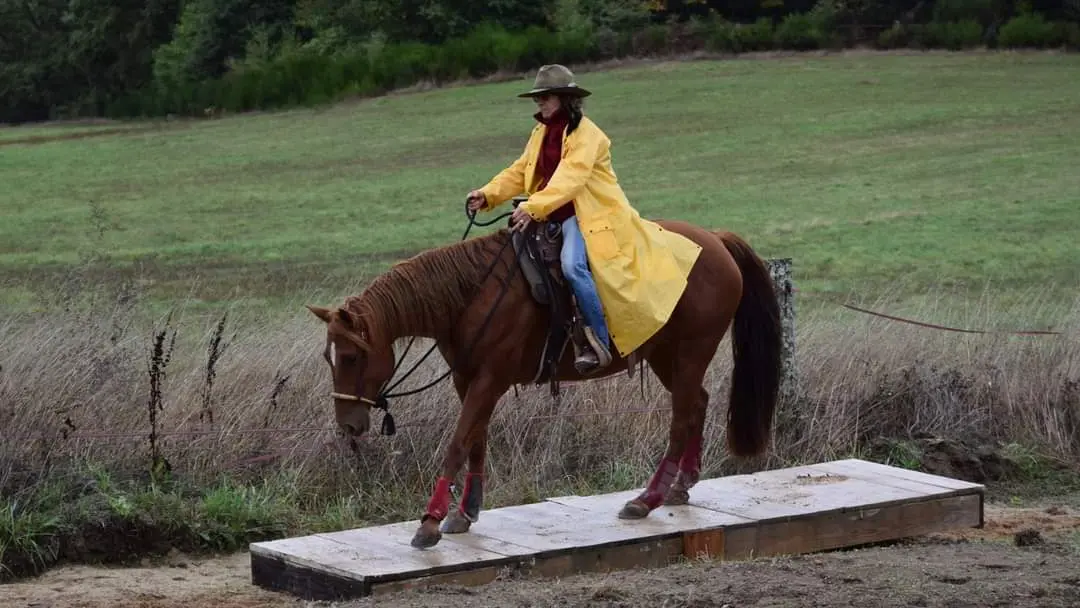 NAHANI RANCH-Mountain Trail Equitation western comportementale_7