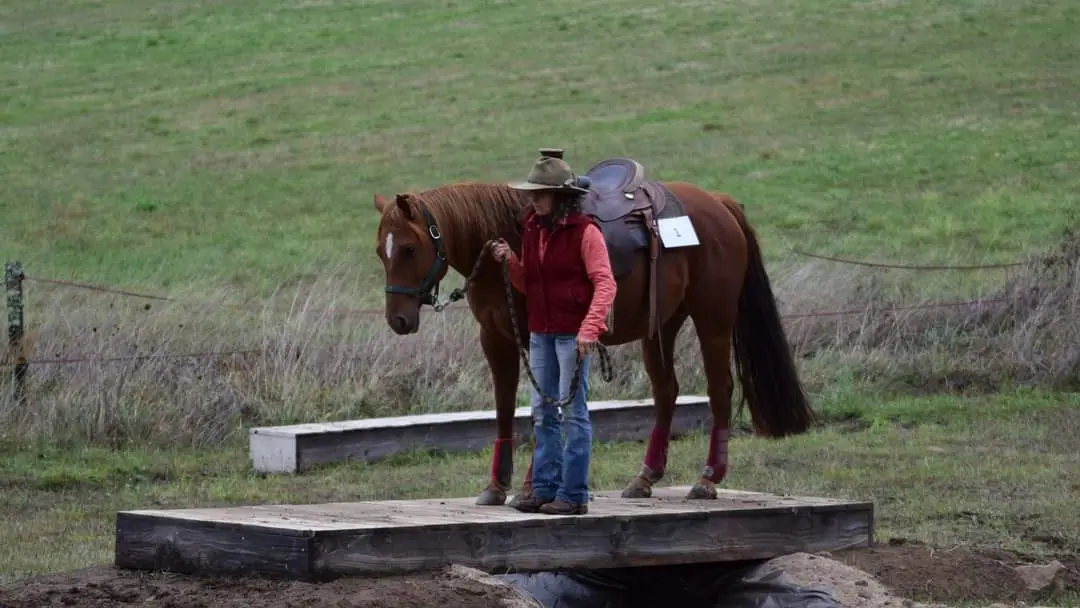 NAHANI RANCH-Mountain Trail Equitation western comportementale_9
