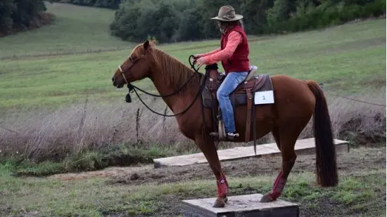 NAHANI RANCH-Mountain Trail Equitation western comportementale_2