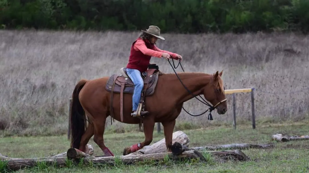 NAHANI RANCH-Mountain Trail Equitation western comportementale_6