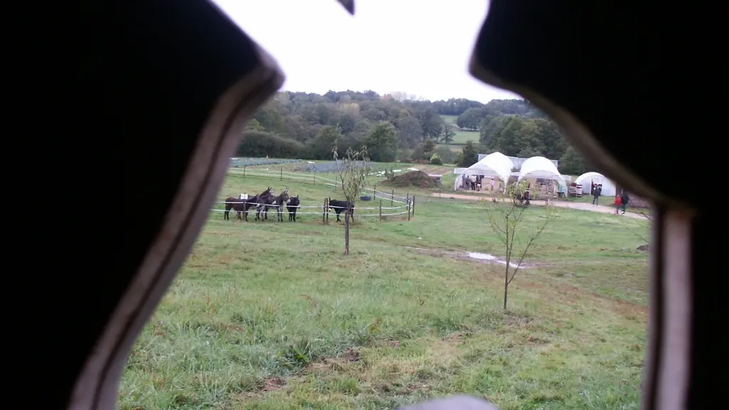 Cabane à la ferme chez Ane et Carotte_2