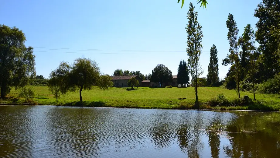 Meublé de tourisme La Châtaigne (La Lègerie)_7