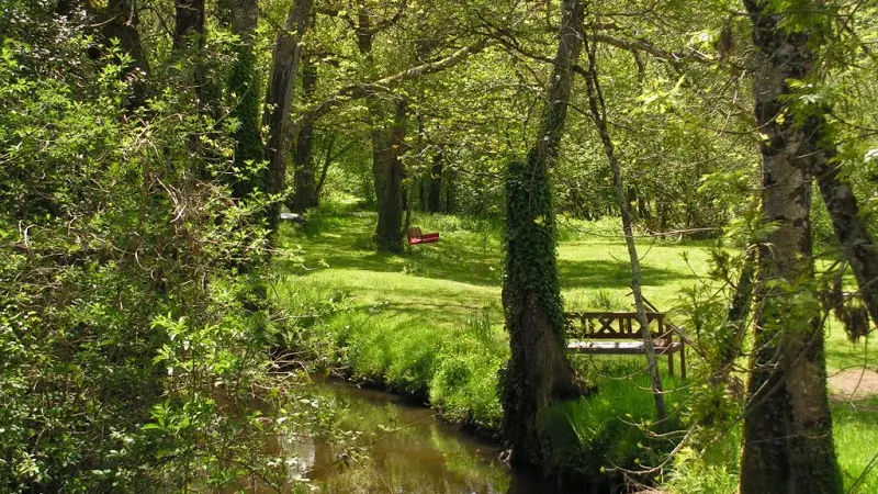 Meublé de tourisme Le Marron _11