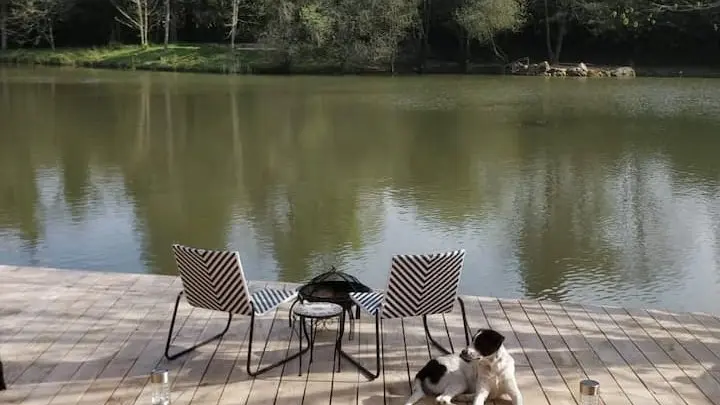 Meublé de tourisme Bumble cabin_1