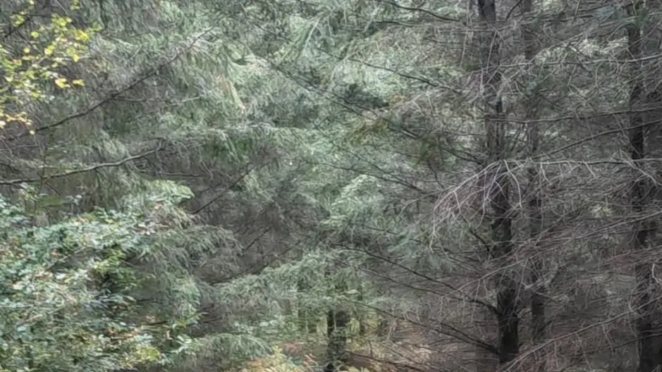 Amicale du Cheval Bandiat Tardoire