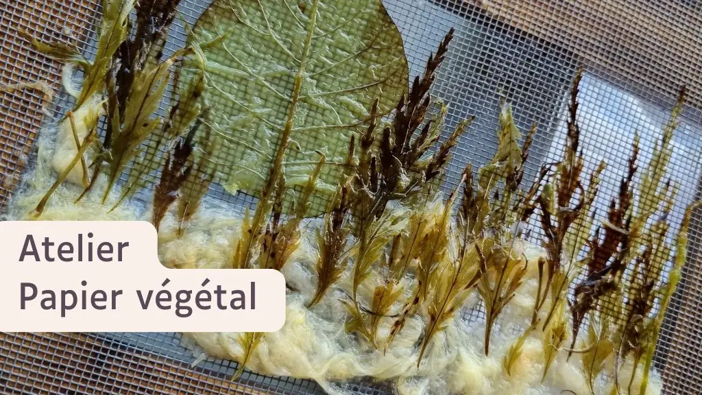 26-06-20 Atelier papier végétal OT Sans descriptif - 1