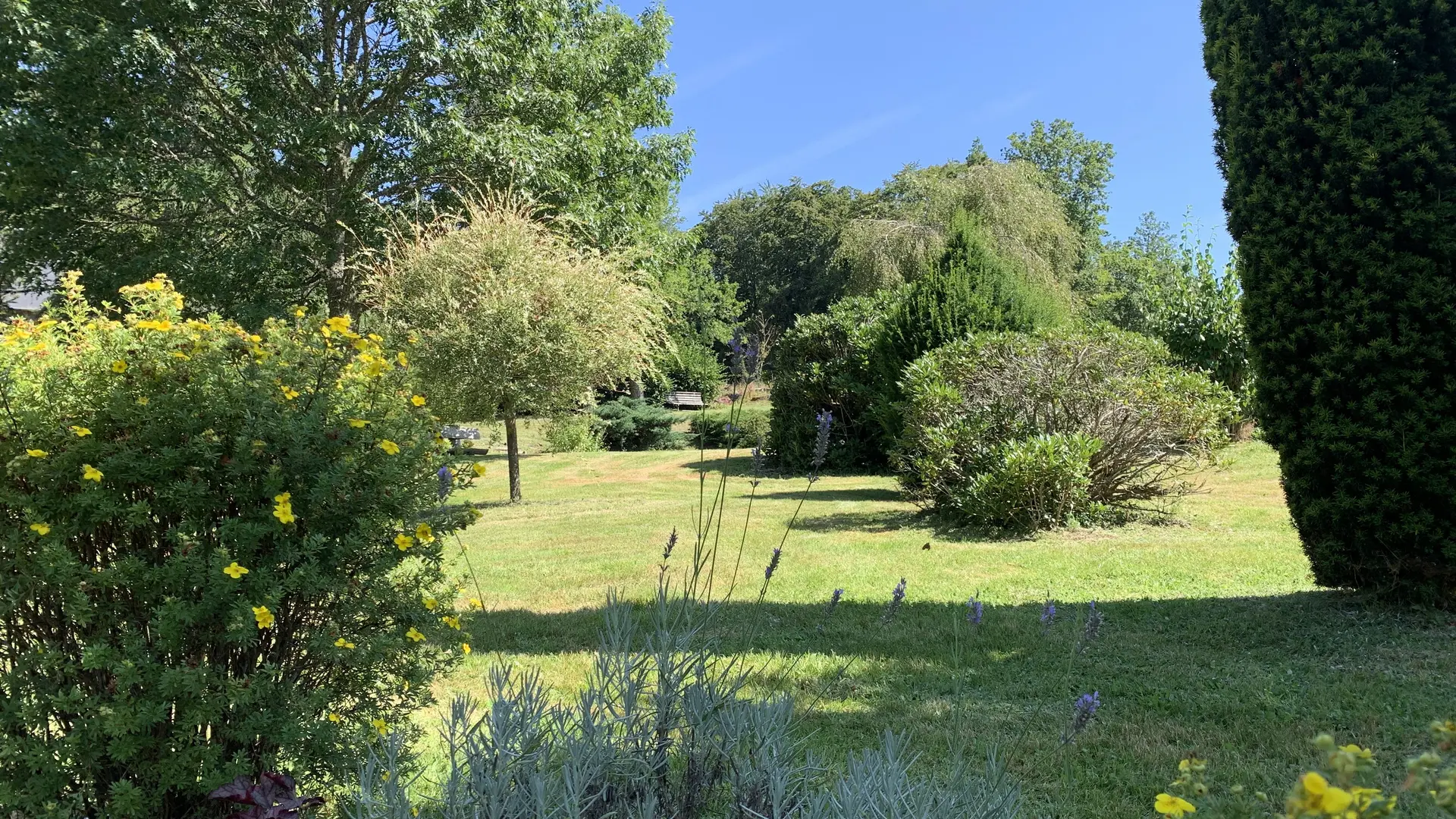 26. Parc arboré depuis la cour