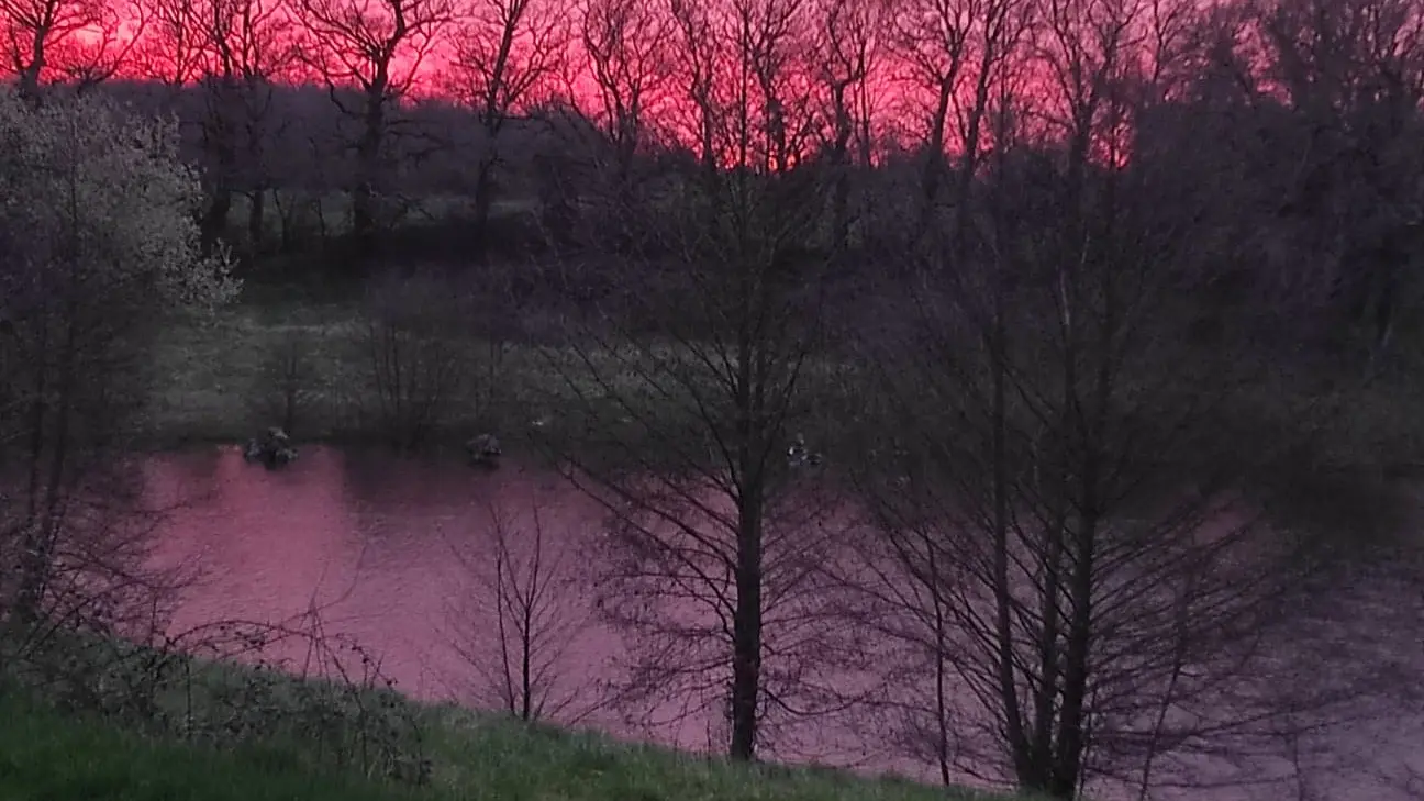Etang tout proche