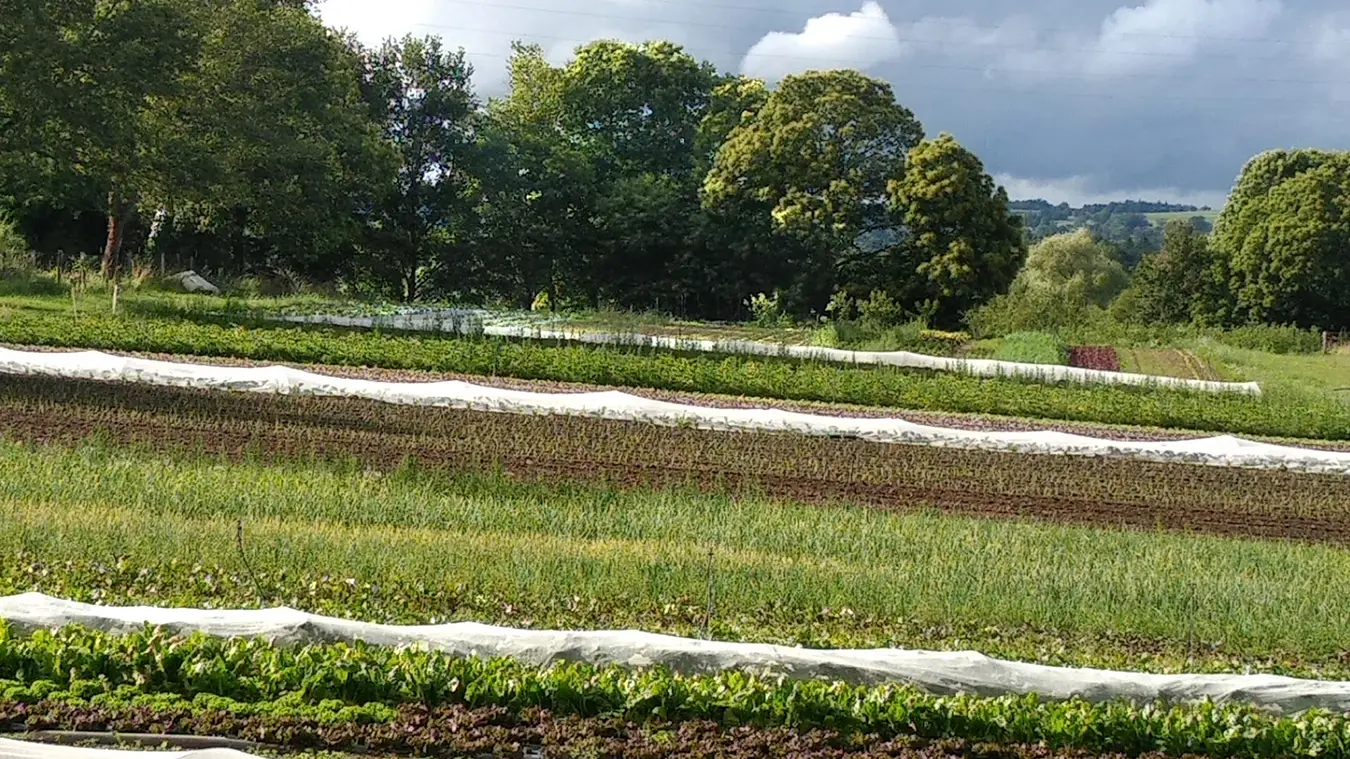Les jardins d'Hélène Champ