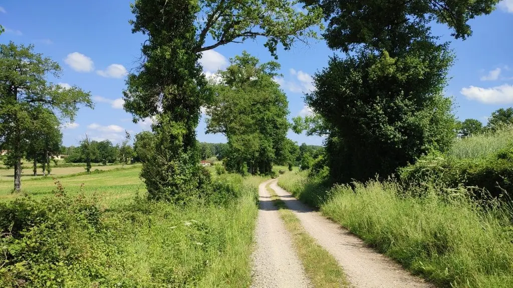 Piste agricole