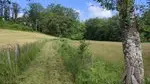 Chemin agricole